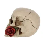 SKULL GOTHIC ROSE FROM THE DEAD - immagine 6