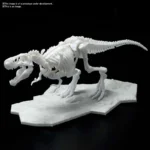 DINOSAUR LIMEX SKELETON TYRANNOSAURUS MK - immagine 2