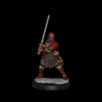D&D FRAMEWORKS-HUMAN FIGHTER FEMALE - immagine 4