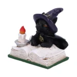 BLACK CAT - FAMILIAR'S SPELL ORNAMENT - immagine 8