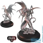 WWE DARK NATION POSSE