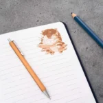 TOTORO CATBUS PLUSH JOURNAL - immagine 5