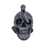 SERPENTINE FATE GOTHIC SNAKE SKULL - immagine 8