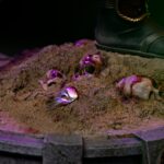 Mortal Kombat Art Scale Statue 1/10 Shao Khan 26 cm - immagine 6