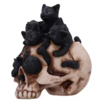 SKULL CRANIAL LITTER - immagine 7