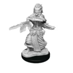 D&D NOLZUR MUM NIGHT HAG & DUSK HAG - immagine 4
