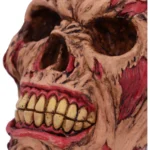 ROTTING ZOMBIE SKULL ORNAMENT 17CM - immagine 5
