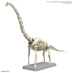 PLANNOSAURUS BRACHIIOSAURUS - immagine 5