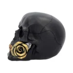 SKULL GOTHIC BLACK ROSE FROM THE DEAD - immagine 6