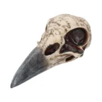 EDGAR A POE RAVEN SKULL - immagine 6