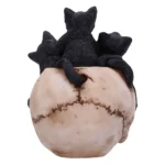 SKULL CRANIAL LITTER - immagine 8