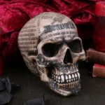 DRACULA TALE SKULL - immagine 4