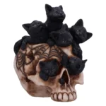 SKULL CRANIAL LITTER - immagine 5