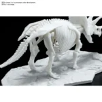 DINOSAUR LIMEX SKELETON TRICERATOPS MK - immagine 8