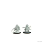 STARFINDER DCUM SKITTERMANDER ENVOY - immagine 4