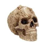SKULL ORNAMENT CRANIAL DRAKOS - immagine 5