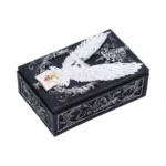 OWL MESSENGER COOKIES BOX - immagine 2