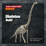 PLANNOSAURUS BRACHIIOSAURUS - immagine 7