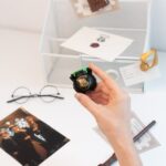 Harry Potter Group 2 Set of Magnets - immagine 5