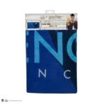 HP RAVENCLAW BEACH TOWEL - immagine 4