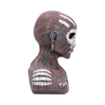 IRON MAIDEN THE BOOK OF SOULS BUST BOX - immagine 7