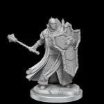 D&D FRAMEWORKS-HUMAN CLERIC MALE - immagine 2