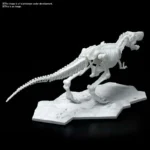 DINOSAUR LIMEX SKELETON TYRANNOSAURUS MK