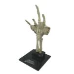 UM FOSSIL CREATURE HAND SCALED PROP REPL - immagine 7
