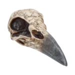 EDGAR A POE RAVEN SKULL - immagine 5