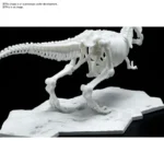 DINOSAUR LIMEX SKELETON TYRANNOSAURUS MK - immagine 4