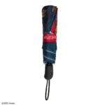 MOTU HE-MAN & BATTLECAT UMBRELLA - immagine 5