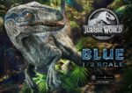 Jurassic World: Fallen Kingdom (Film) Legacy Museum Collection Statue 1/2 Blue Bonus Version 88 cm - immagine 2