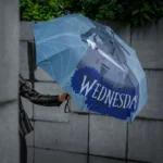WEDNESDAY WITH CELLO UMBRELLA - immagine 4