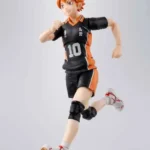 HAIKYU!! SHOYO HINATA SHF