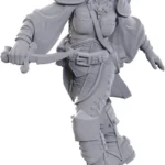 D&D NOLZUR'S MARVELOUS MINIATURES - SWASHBUCKLER