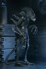 ALIENS 40TH ANNIVERSARY WARRIOR XENOMORPH BLACK ULTIMATE AF - immagine 2
