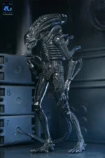 ALIENS 40TH ANNIVERSARY WARRIOR XENOMORPH BLACK ULTIMATE AF - immagine 3