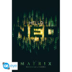 THE MATRIX - Poster Maxi 91.5 1 - Hello Neo *