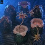 Aliens 6-Pack Accessory Pack Carton of Alien Eggs (40th Anniversary) - immagine 6