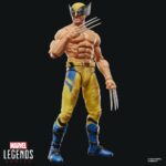 Deadpool & Wolverine Marvel Legends Action Figure Wolverine 15 cm - immagine 4