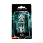 D&D NOLZUR MUM HUMAN BARD MALE