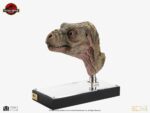 The Lost World: Jurassic Park Replica Bust 1/1 Junior T-Rex Prop (Reproduction) 39 cm - immagine 6