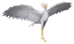Flow UDF PVC Figure Secretarybird - immagine 3