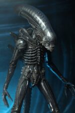 Alien 1/4 Action Figure Big Chap 56 cm - immagine 5