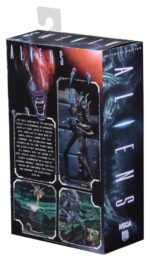 Aliens Ultimate Action Figure Warrior (1986) Blue 23 cm - immagine 3