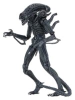 Aliens Ultimate Action Figure Warrior (1986) Blue 23 cm - immagine 5