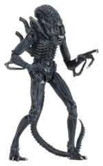 Aliens Ultimate Action Figure Warrior (1986) Blue 23 cm - immagine 6