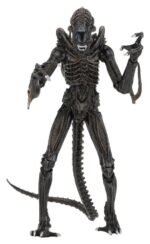 Aliens Ultimate Action Figure Warrior (1986) Brown 23 cm