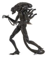 Aliens Ultimate Action Figure Warrior (1986) Brown 23 cm - immagine 2