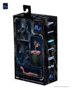 Aliens Ultimate Action Figure Warrior (1986) Xenomorph Black (40th Anniversary) 23 cm - immagine 3